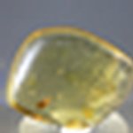 Insect in Amber Specimen ~40mm