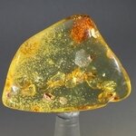 Insect in Amber Specimen ~43mm