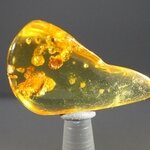 Insect in Amber Specimen ~44mm