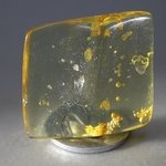 BEAUTIFUL Insect in Amber Specimen ~47mm