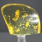 Insect in Amber Specimen ~48mm