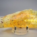 Insect in Copal (Amber) Specimen ~155mm