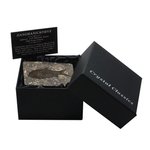 Jianghanichthys - Fossil Black Fish Gift Box