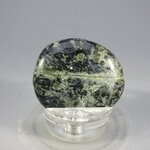 Kambaba Jasper Flat Tumblestone ~36mm