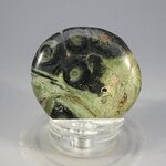 Kambaba Jasper Flat Tumblestone ~39mm