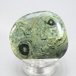 Kambaba Jasper Flat Tumblestone ~40mm