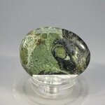 Kambaba Jasper Flat Tumblestone ~40mm