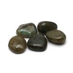 Labradorite Mini Tumble Stone - Pack Of 5