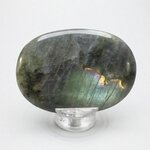 Labradorite Palmstone (Extra Grade) ~70 x 50 mm