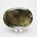 Labradorite Palmstone (Extra Grade) ~70 x 50mm