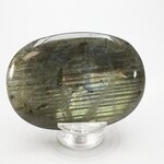 Labradorite Palmstone (Extra Grade) ~70x50mm