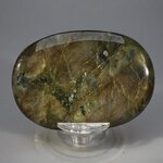 Labradorite Palmstone (Extra Grade) ~70x50mm