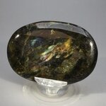 Labradorite Palmstone (Extra Grade) ~70x50mm
