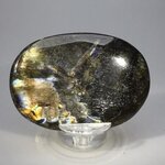 Labradorite Palmstone (Extra Grade) ~70x50mm