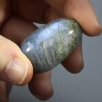 Labradorite Polished Stone ~ 50mm