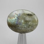 Labradorite Thumbstone ~40mm