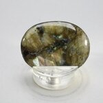 Labradorite Thumbstone(Extra Grade) ~40x30mm