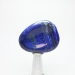 Lapis Lazuli Thumb Stone  ~46mm