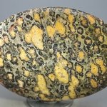 Leopard Skin Jasper Palmstone (Extra Grade) ~70x50mm