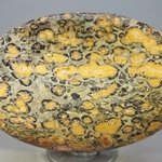 Leopard Skin Jasper Palmstone (Extra Grade) ~70x50mm