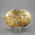 Leopard Skin Jasper Palmstone (Extra Grade) ~70x50mm