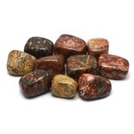 Leopard Skin Jasper Tumble Stone (20-25mm)