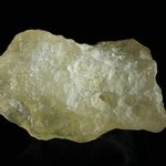 Libyan Glass (Extra Large - Extra Grade) ~55mm