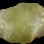 Libyan Glass (Extra Large - Extra Grade) ~61mm