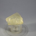 Libyan Glass Tumblestone ~26mm