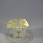 Libyan Glass Tumblestone ~27mm