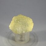 Libyan Glass Tumblestone ~27mm