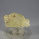 Libyan Glass Tumblestone ~36mm