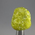 Lizardite Tumblestone ~26mm