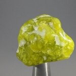 Lizardite Tumblestone ~27mm