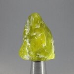 Lizardite Tumblestone ~31mm