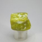 Lizardite Tumblestone ~32mm