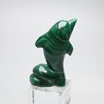 Malachite Crystal Dolphin ~54x42mm