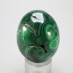 Malachite Crystal Egg ~47mm