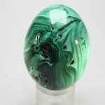 Malachite Crystal Egg ~52mm