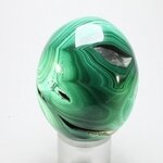 MAGNIFICENT Malachite Crystal Egg ~55mm