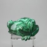 Malachite Crystal Frog ~44x20mm