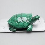Malachite Crystal Turtle ~53x38mm