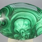 Malachite Palmstone (Extra Grade) ~70x50mm