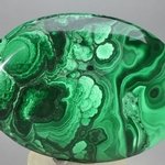 Malachite Palmstone (Extra Grade) ~70x50mm