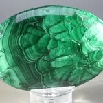 Malachite Palmstone (Extra Grade) ~70x50mm