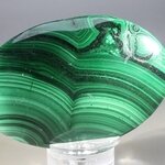 Malachite Palmstone (Extra Grade) ~70x50mm