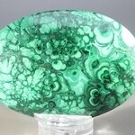 Malachite Palmstone (Extra Grade) ~70x50mm