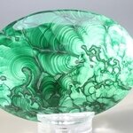 Malachite Palmstone (Extra Grade) ~70x50mm