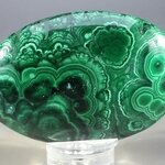 Malachite Palmstone (Extra Grade) ~70x50mm