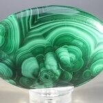 Malachite Palmstone (Extra Grade) ~70x50mm